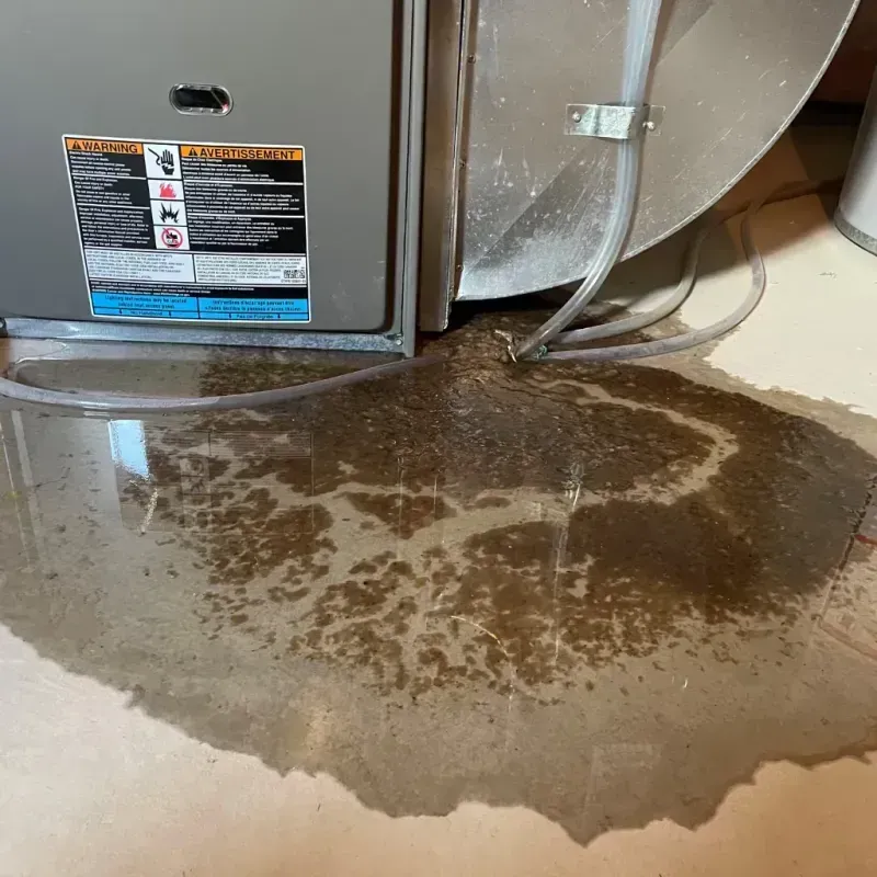 Appliance Leak Cleanup in North Liberty, IN